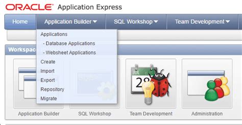 Full Download Oracle Application Express Builder User Guide 
