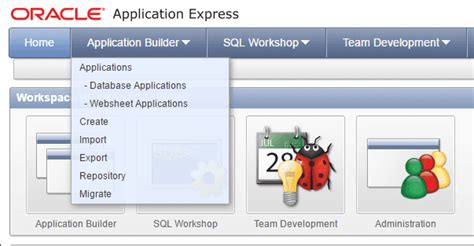 Full Download Oracle Application Express Developer Guide 
