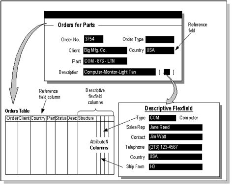 Full Download Oracle Applications Flexfields Guide R12 