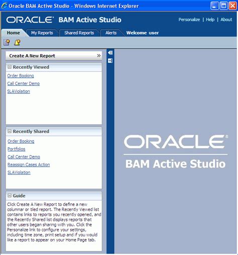 Full Download Oracle Bam User Guide 