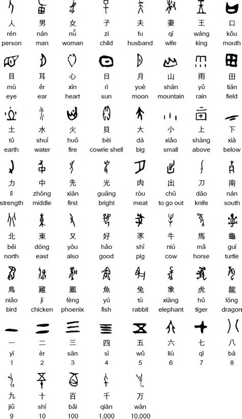 Read Oracle Bone Script In China Chinese Edition 