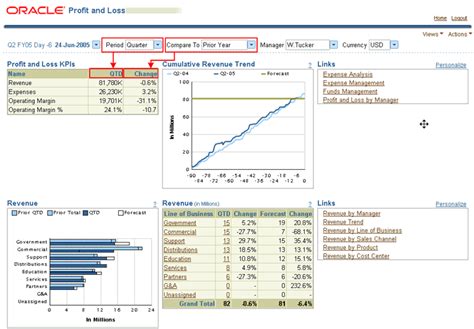 Read Online Oracle Daily Business Intelligence User Guide 