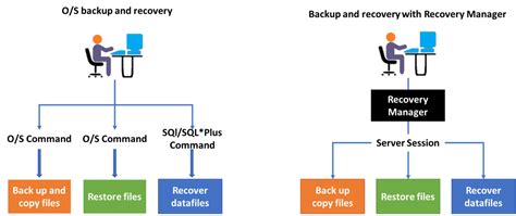 Full Download Oracle Database Backup And Recovery Using Dell Storage 