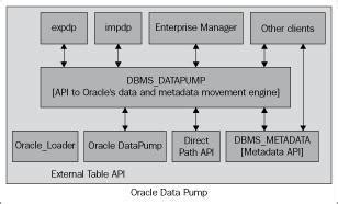 Read Oracle Developer 10G Documentation 