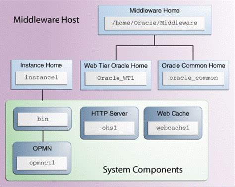 Read Online Oracle Fusion Middleware Installation Guide For Web Tier 