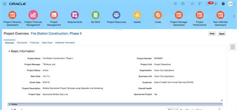 Full Download Oracle Projects User Guide 