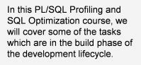 Full Download Oracle Sql Pl Sql Optimization For Developers 