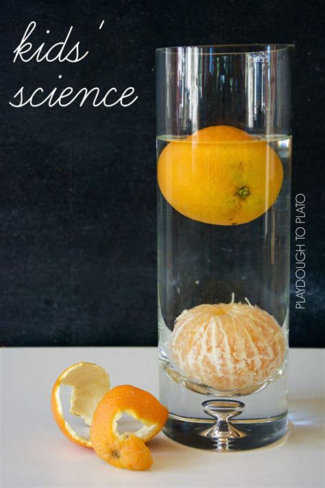 Orange Buoyancy Kidsu0027 Science Experiment Playdough To Plato Buoyancy Science Experiments - Buoyancy Science Experiments