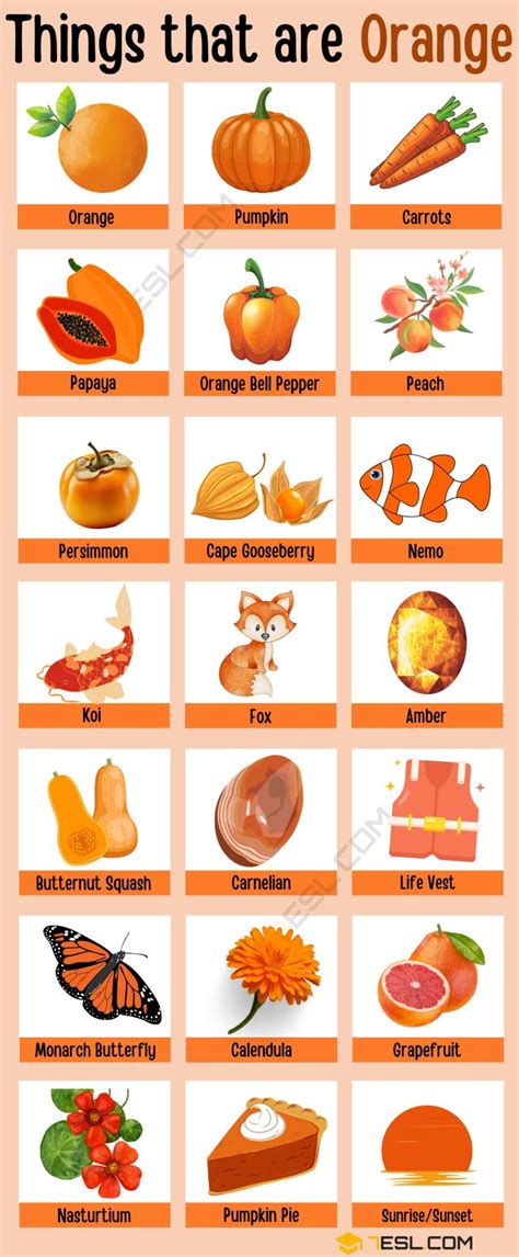 orange color things
