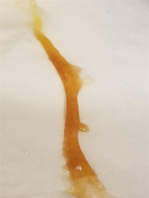 orange colored mucus stool