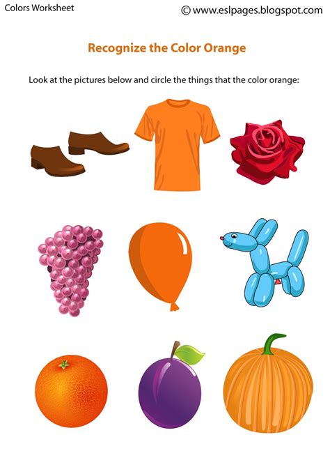 Orange Colour Activity For Preschool   2022 Best Colors To Enhance Preschool Learning Environment - Orange Colour Activity For Preschool