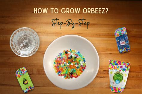 Orbeez Grow In What Orbeez Science Experiment Youtube Orbeez Science Experiments - Orbeez Science Experiments