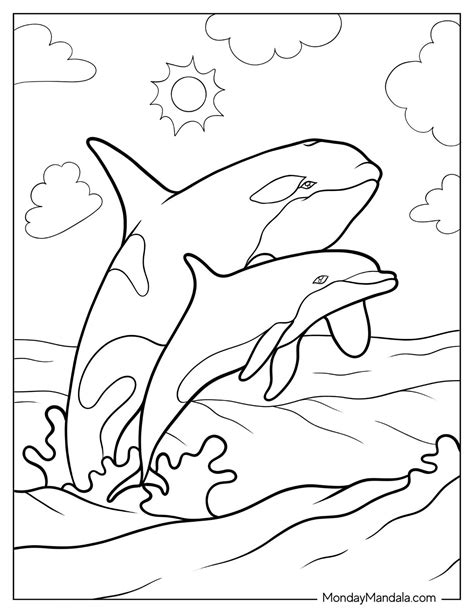 orca coloring page