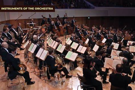 orchestra nude