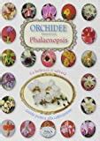 Orchidee Phalenipsis