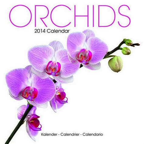 orchids 2014 calendar 12 month calendar featuring