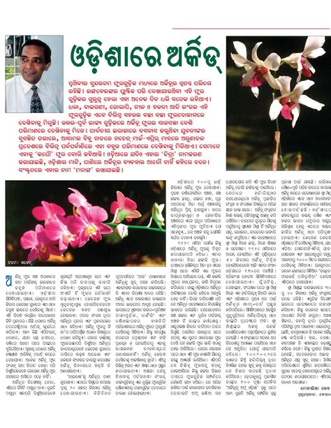 Orchids Of Orissa