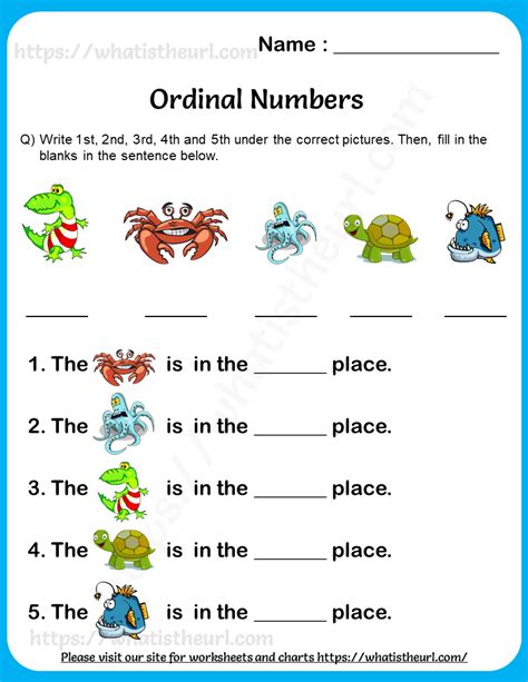 Ordinal Number Worksheets Ordinal Position Worksheet - Ordinal Position Worksheet