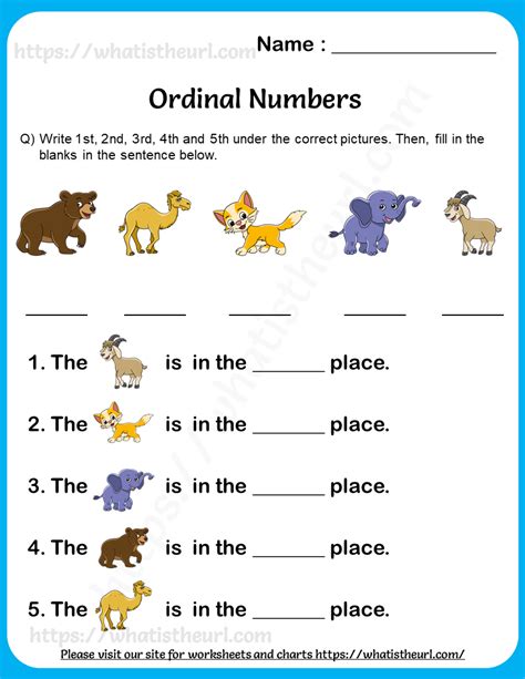Ordinal Numbers Live Worksheets Ordinal Number Worksheet - Ordinal Number Worksheet