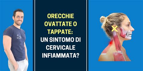 Orecchie Tappate Testa Confusa