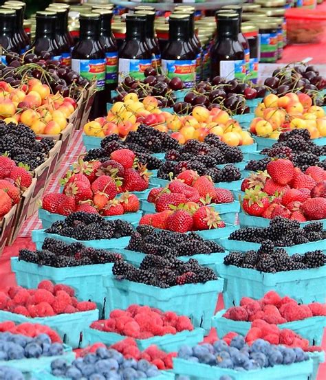 oregon berry