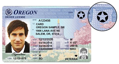 oregon driver license
