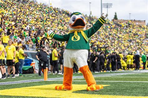 oregon duck
