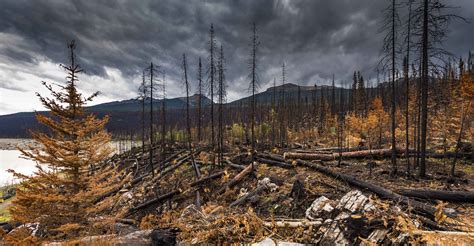 oregon fires