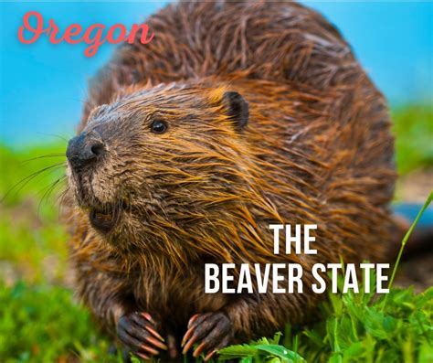oregon nickname