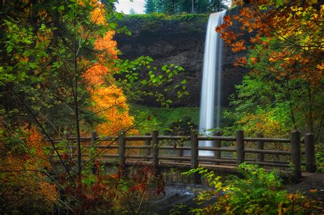 oregon park