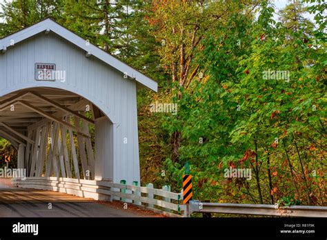 oregon scio
