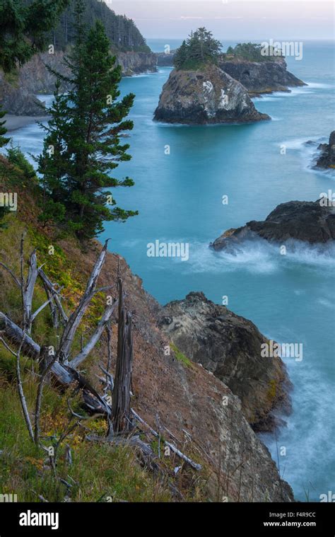 oregon sta