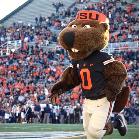 oregon state mascot
