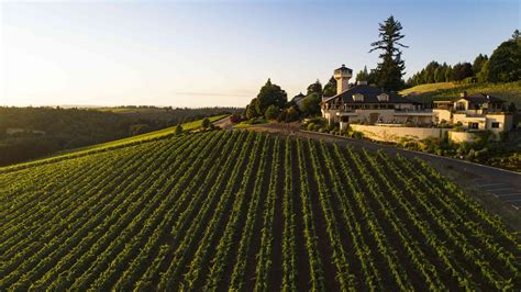 oregon vineyards