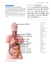 organ system overview exercise 2