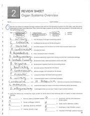 Organ Systems Overview Exercise 2