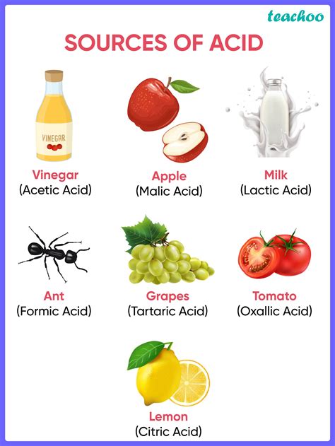 Organic Acid Examples