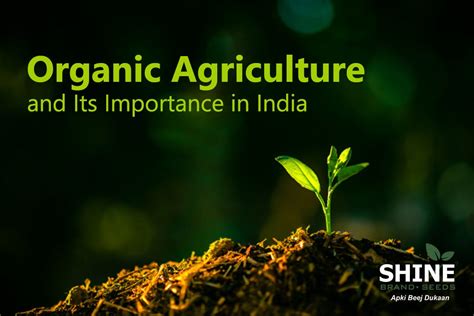 organic farming in india ppt music