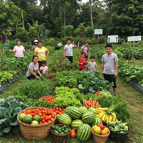 organic vegetable production