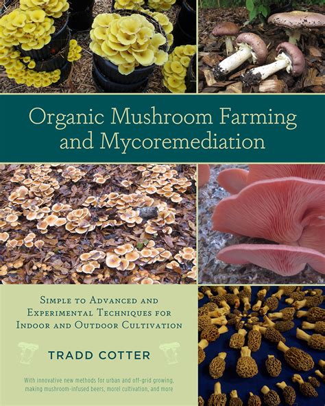 Download Organic Mushroom Farming And Mycoremediation Simple To Advanced And Experimental Techniques For Indoor And Outdoor Cultivation 