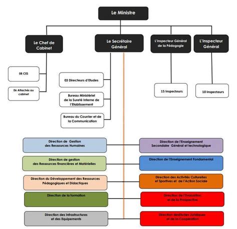 organigramme - Education