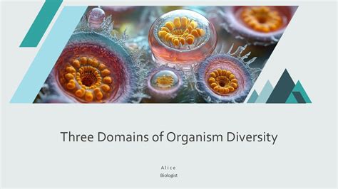 Organism Diversity Structure And Function