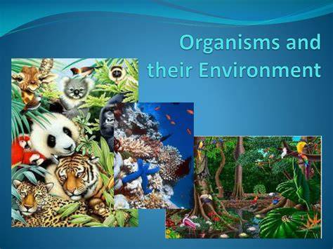 organisms and their environment answer key
