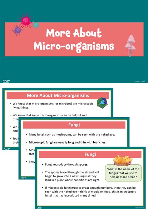 organisms in action summary free download