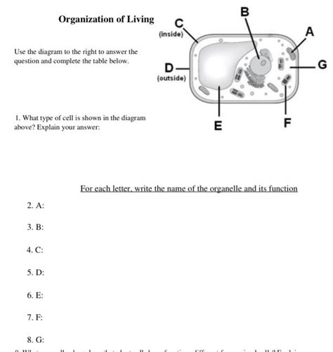 Read Online Organization In Living Things Study Guide Answers 