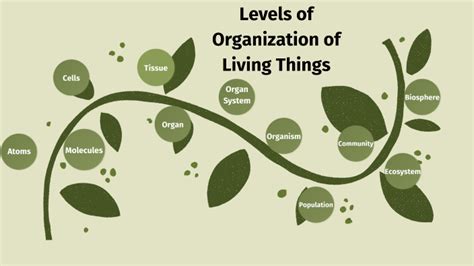Read Online Organization In Living Things Study Guide Answers 