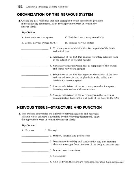 Read Organization Of The Nervous System Worksheet Answers Chapter 7 