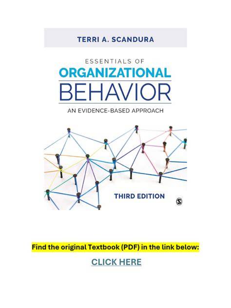organizational behavior 3rd edition