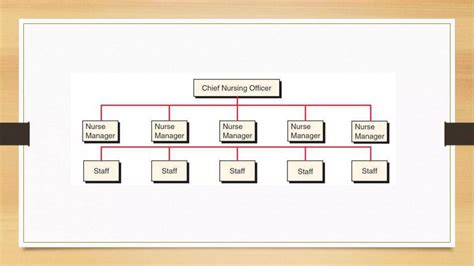 Organizational Structures In Nursing