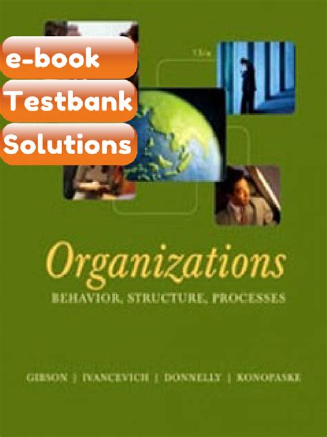 Organizations Behavior Structure Processes 13th Edition